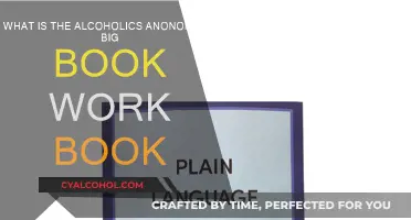 Alcoholics Anonymous: Big Book Work Book Guide