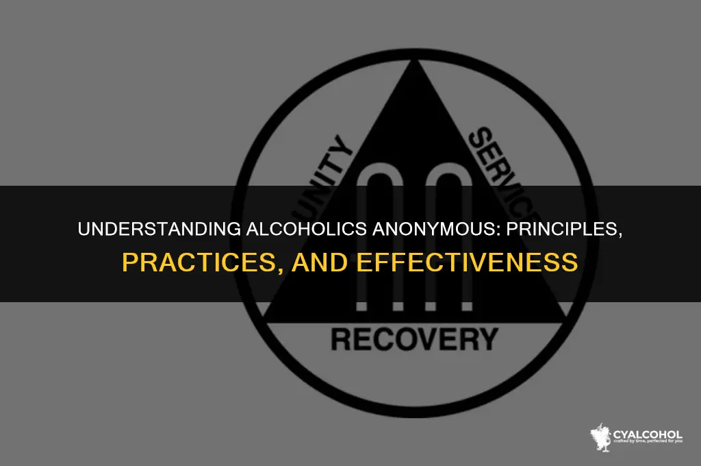 what is the alcoholics anonymous stance