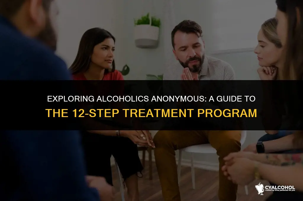 what is the alcoholics anonymous treatment