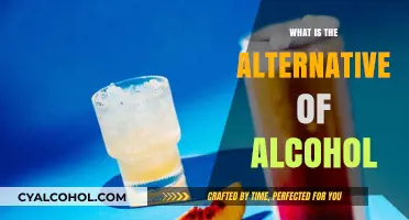 Exploring Sober Alternatives: What to Drink Instead of Alcohol