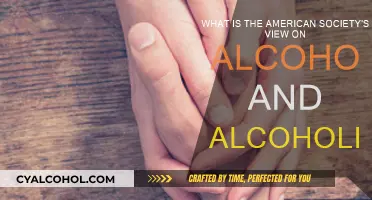 Alcoholism in America: A Complex Relationship