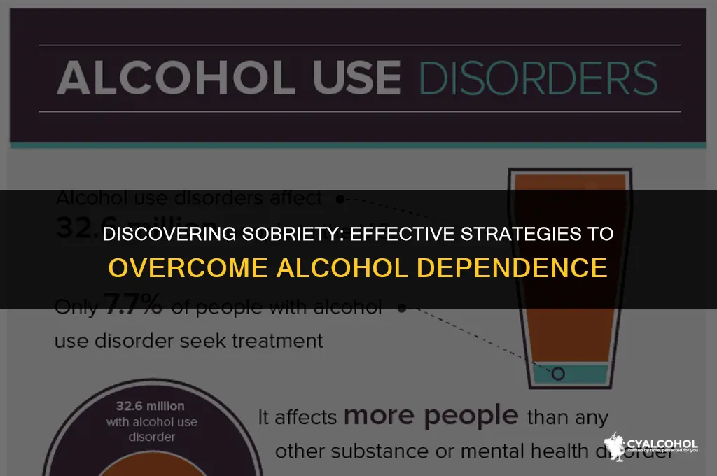 what is the antidote for alcohol