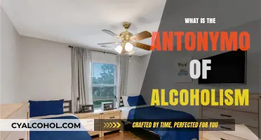 Sober Living: Embracing the Opposite of Alcoholism