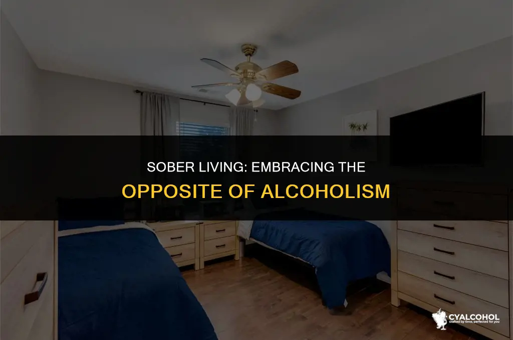 what is the antonymo of alcoholism