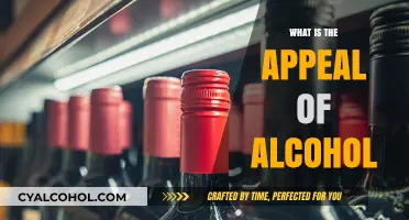 Unveiling the Allure: Understanding the Appeal of Alcohol