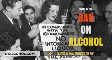 Understanding the Prohibition: A Deep Dive into Alcohol Bans