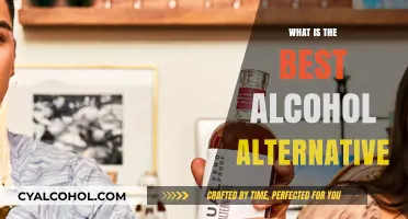 Exploring the Top Non-Alcoholic Alternatives: A Comprehensive Guide