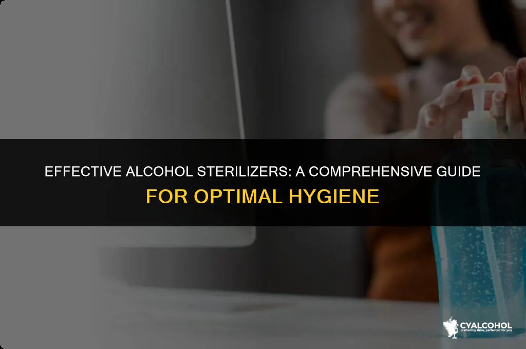 what is the best alcohol sterilizer