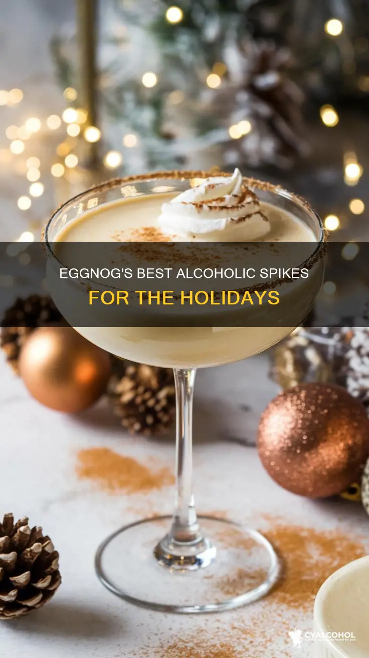 what is the best alcohol to spike eggnog with