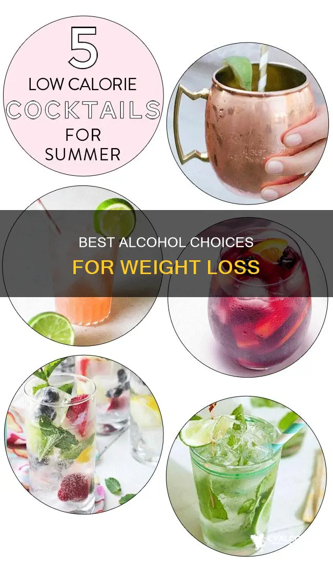 what is the best alcohol when trying to lose weight