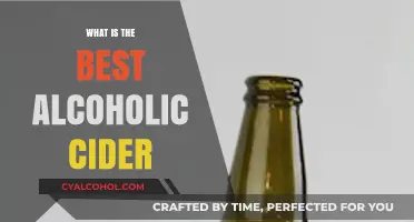 Exploring the Finest: A Guide to the Best Alcoholic Ciders