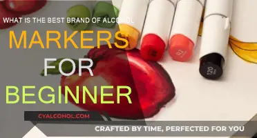 Alcohol Markers: Best Brands for Beginners