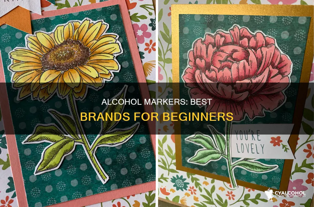 what is the best brand of alcohol markers for beginners