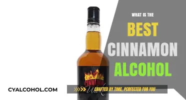 Exploring the Warmth: A Guide to the Best Cinnamon Alcohols