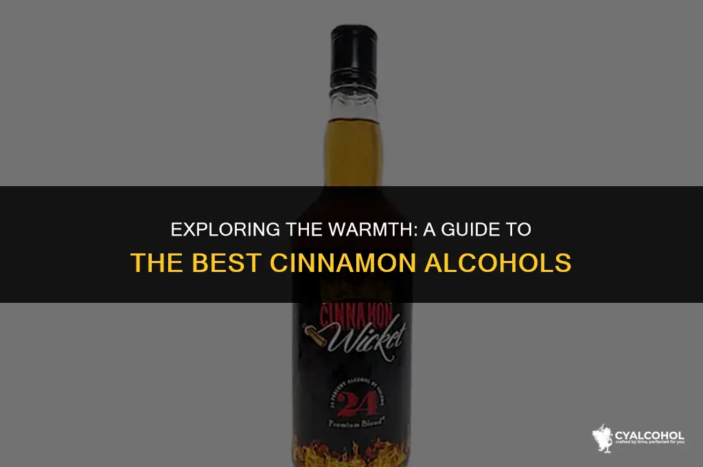 what is the best cinnamon alcohol