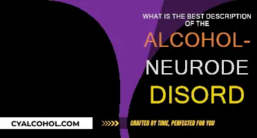 Alcohol-Related Neurodevelopmental Disorder: Understanding the Brain's Impact