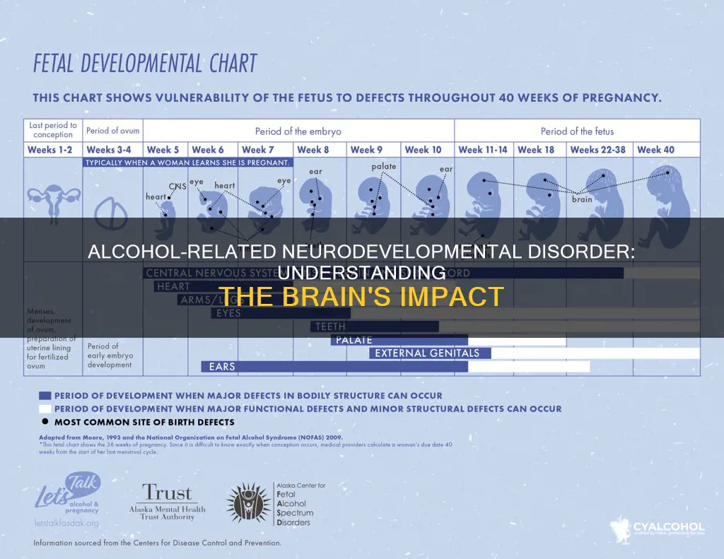 what is the best description of the alcohol-related neurodevelopmental disorder