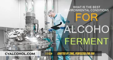 Ideal Conditions for Alcoholic Fermentation