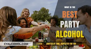 Top Party Spirits: A Guide to the Best Alcohol for Your Bash