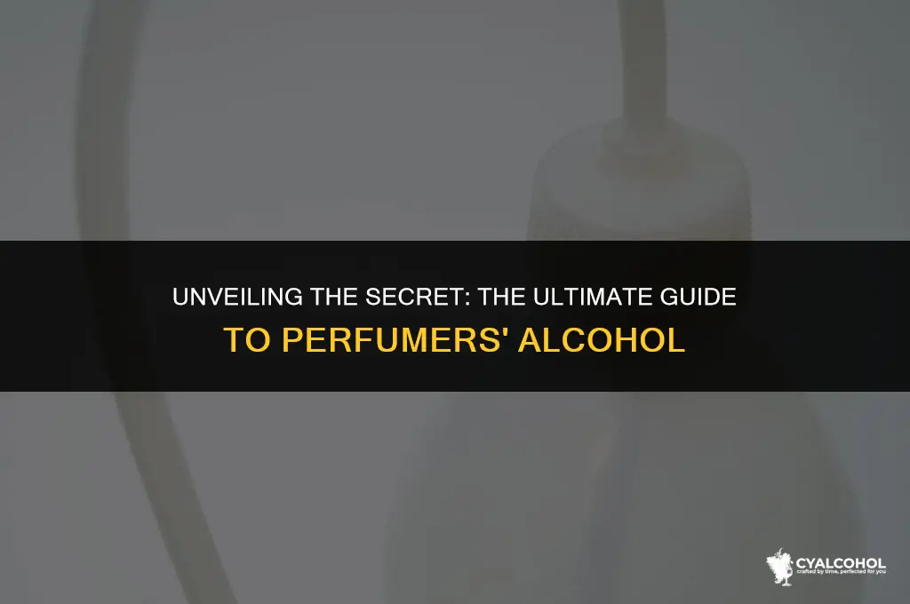 what is the best perfumers alcohol