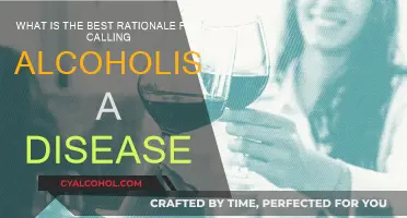 Alcoholism: A Disease That Needs Understanding and Treatment