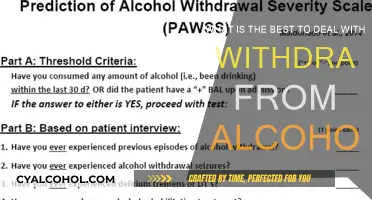 Strategies to Cope with Alcohol Withdrawal Symptoms