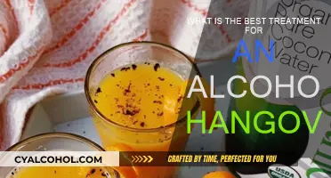 Hangover Cures: Natural Remedies for Alcohol-Induced Misery
