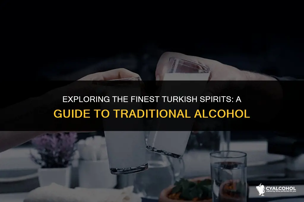 what is the best turkish alcohol