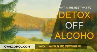 Alcohol Detox: Safe Strategies for Withdrawal