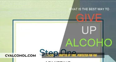 How to Quit Drinking Alcohol and Stay Sober