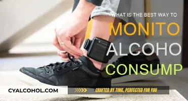 Monitoring Alcohol Intake: Strategies for a Healthy Balance