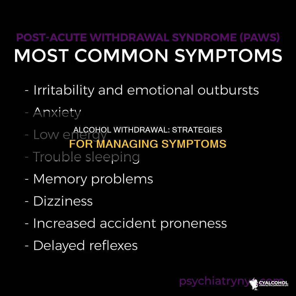 what is the best way to rid alcohol withdrawal symptoms