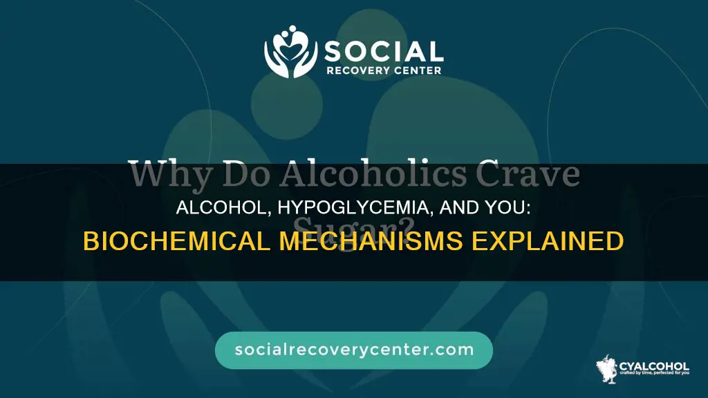 what is the biochemical mechanism of alcohol induced hypoglycemia