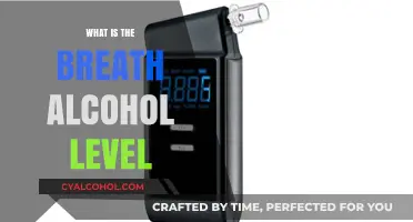 Understanding Breath Alcohol Levels: A Comprehensive Guide