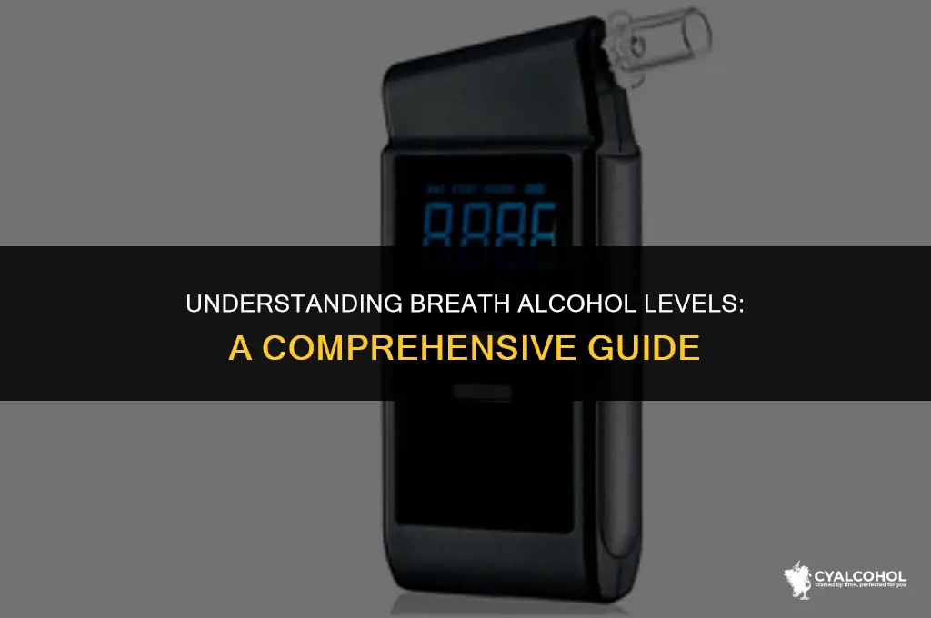 what is the breath alcohol level