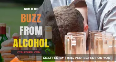 Unveiling the Effects: What's the Buzz from Alcohol?