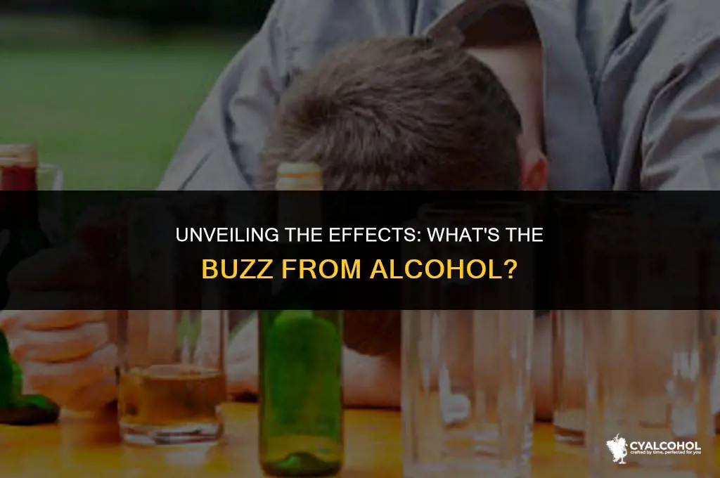 what is the buzz from alcohol