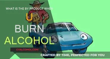 Burning Alcohol: Carbon Dioxide and More