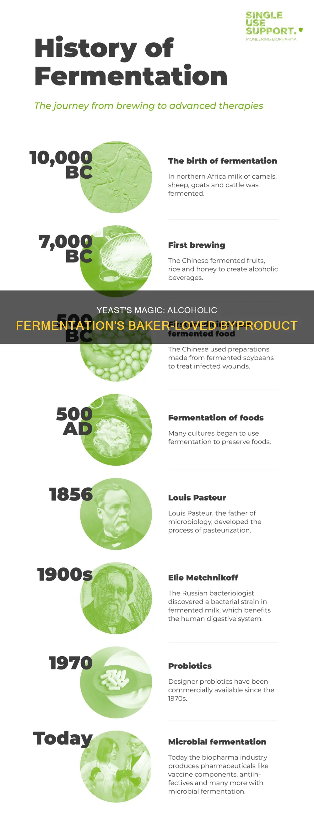 what is the byproduct of alcoholic fermentation valued by bakers
