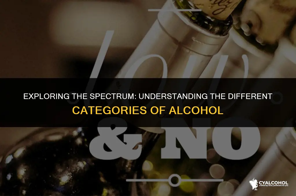 what is the category of alcohol