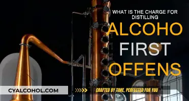 Alcohol Distilling: First Offense Charges and Consequences