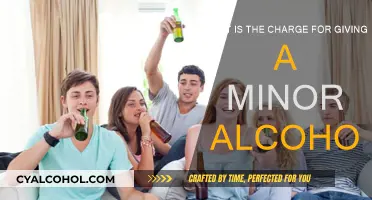 Underage Drinking: Legal Consequences for Adults