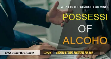 Understanding Minor in Possession of Alcohol Charges