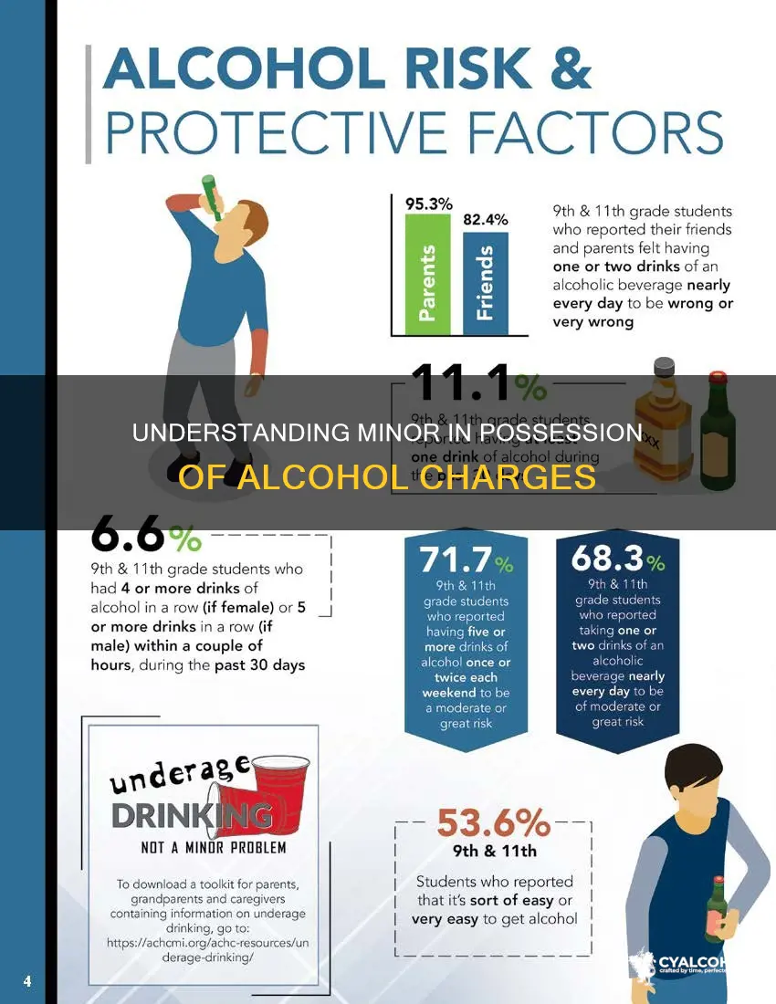 what is the charge for minor in possession of alcohol