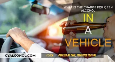 Alcohol in Vehicles: Understanding Open Container Laws and Charges
