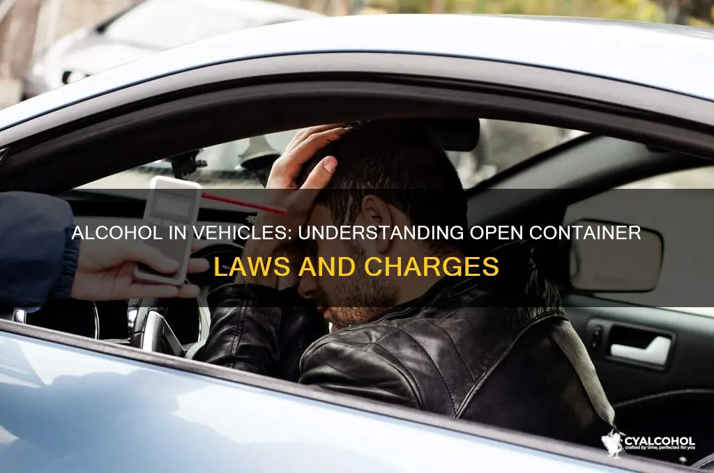 what is the charge for open alcohol in a vehicle