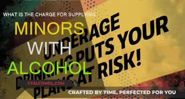 Minors and Alcohol: Understanding the Legal Consequences