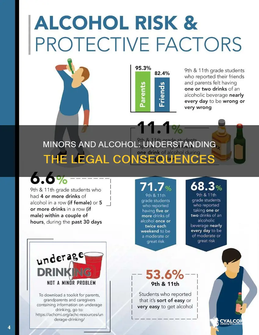 what is the charge for supplying minors with alcohol