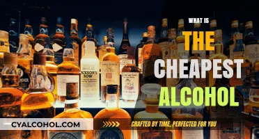 Budget-Friendly Booze: Discovering the Cheapest Alcohol Options Available