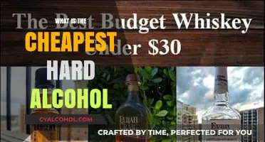 Budget-Friendly Booze: Exploring the Cheapest Hard Alcohol Options
